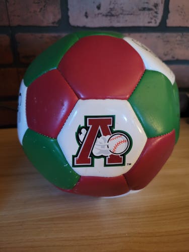 Altoona Curve Themed Soccer Ball MiLB SGA