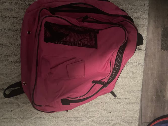 Ice Skating Bag