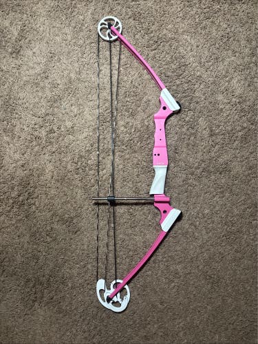 Archery Genesis Original Compound Bow, Right-Hand With 5 Arrows And Quiver, And Field Logic Target