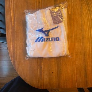 White Men's XS Youth Mizuno Game Pants (New)