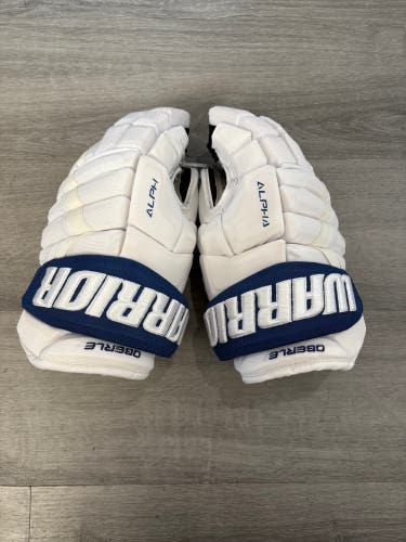 Air Force Oberle Warrior Alpha DX Pro Gloves 14" Pro Stock (Used)