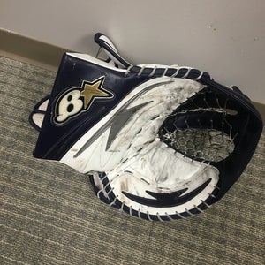 Brian's G-Netik 5 Glove Regular (Used)