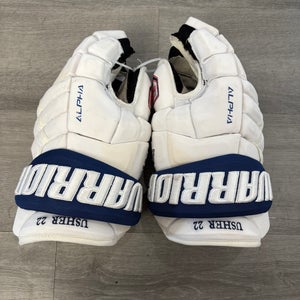 Air Force Usher Warrior Alpha DX Pro Gloves 15" Pro Stock (Used)
