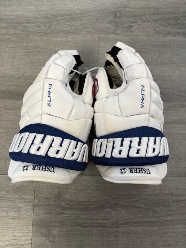Air Force Usher Warrior Alpha DX Pro Gloves 15" Pro Stock (Used)