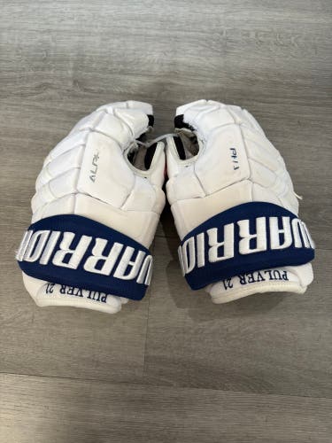 Air Force Pulver Warrior Alpha DX Pro Gloves 13" Pro Stock (Used)