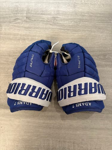 Air Force Adams Warrior Alpha DX Pro Gloves 14" Pro Stock (Used)