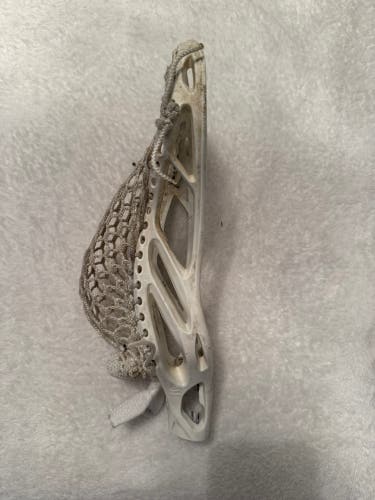 Warrior Strung Head (Used)