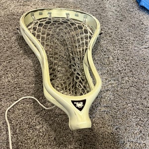 ECD Lax Head