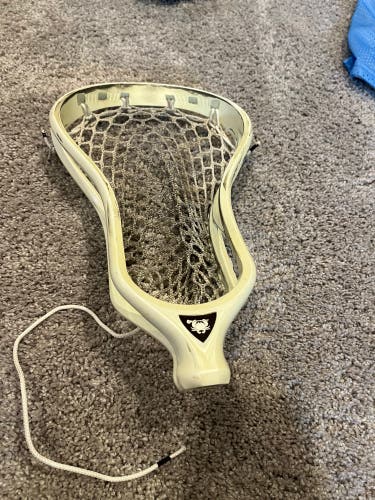 ECD Lax Head