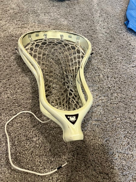 ECD Lax Head