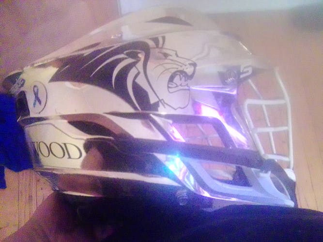 Cascade S Helmet (Used)