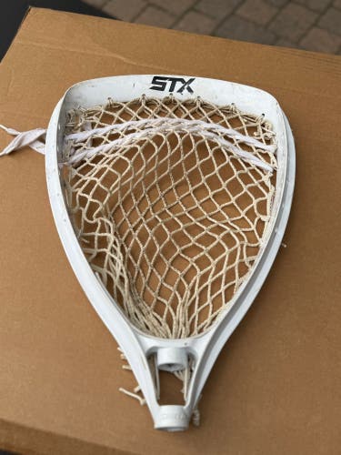 STX Shield Strung Head (Used)