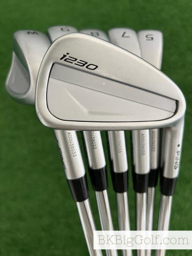 Ping i230 Iron Set 5-W / NS Pro Neo 95 Stiff