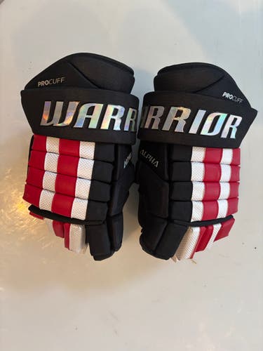 Warrior Alpha FR2 Pro Gloves 14" (Used)