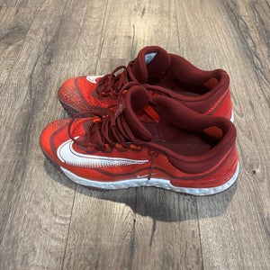 Men's Adult Size M 11.5 (W 11.5) Nike Shoes (Used)