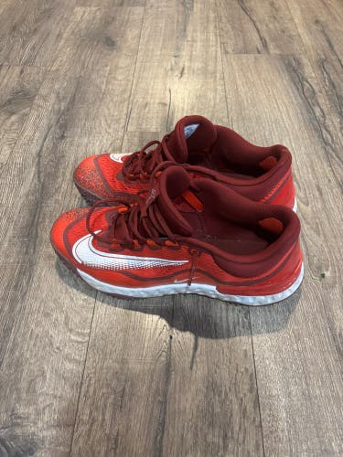 Men's Adult Size M 11.5 (W 11.5) Nike Shoes (Used)