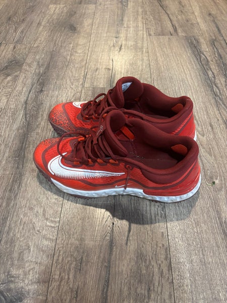 Men's Adult Size M 11.5 (W 11.5) Nike Shoes (Used)