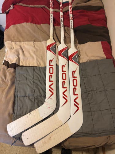 Bauer Vapor 1X Senior Goalie sticks