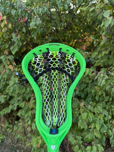 Warrior Strung Head (Used)