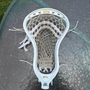 STX Stallion Head (Used)