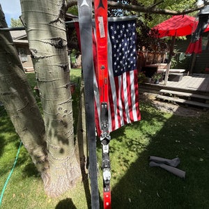 World Cup Atomic SG Skis