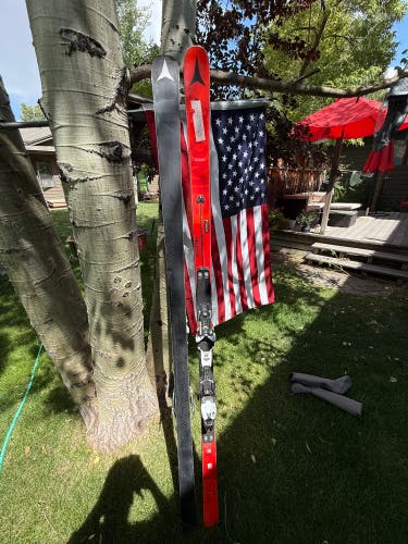 World Cup Atomic SG Skis