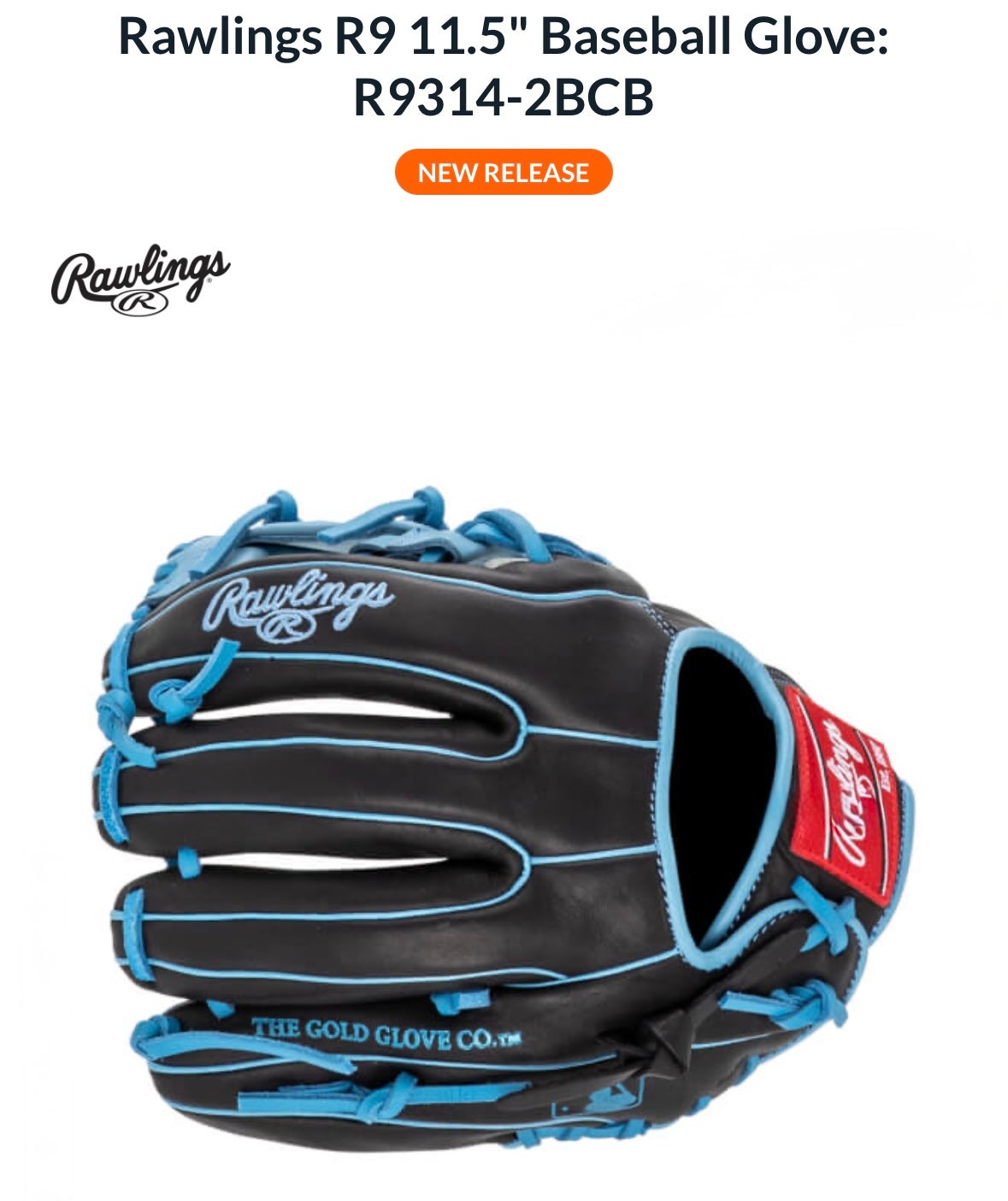 SPALDING スポルディング 軟式グローブ ロビンソン・カノモデル 希少□ロビンソン・カノ モデル 硬式用グローブ SPALDING製 42001 内