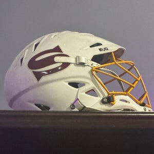 Warrior Evo Helmet (Used)