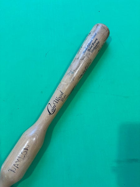 Cam Wood Hands-N-Speed Trainer