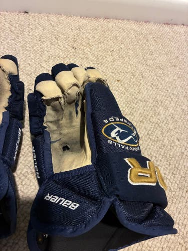 Bauer Pro Series Gloves 14" (Used)