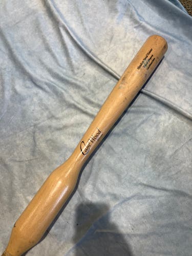 CamWood Trainer Bat Training Wood 31" (Used)