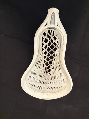 Warrior Evo Warp Pro 2