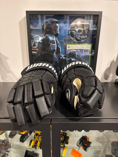 Warrior Franchise Gloves 15" (Used)
