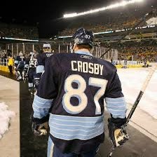 Penguins in Canada post for Marvov