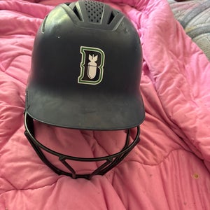 Medium/Large EvoShield Batting Helmet (Used)