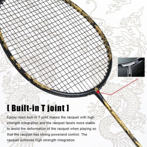 ALPSPORT SL Golden Dragon 4U G5 Graphite Professional Badminton Racket w Case