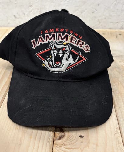 Vintage Jamestown Jammers Youth SnapBack Hat
