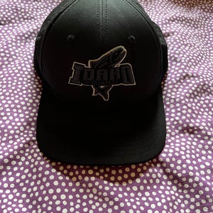 Idaho Steelheads UNRL One Size Fits All Hat