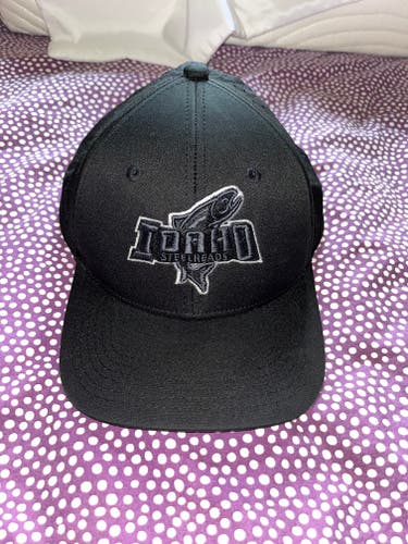 Idaho Steelheads UNRL One Size Fits All Hat
