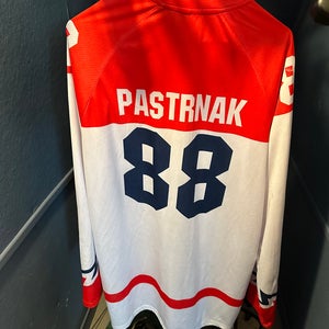 Pastrnak 88 Czech Republic White Large Men's Jersey (Used)