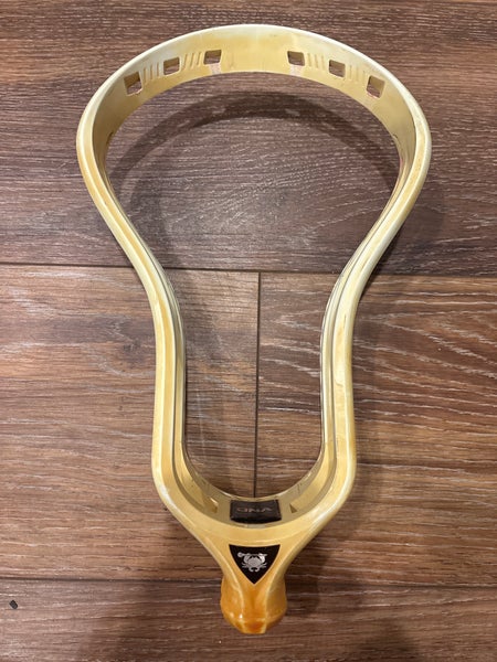 ECD DNA Dyed