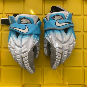 Rwu Nike Vapor Premier