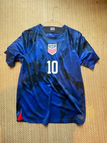 Large Men's USA Pulisic Nike Jersey (Used)