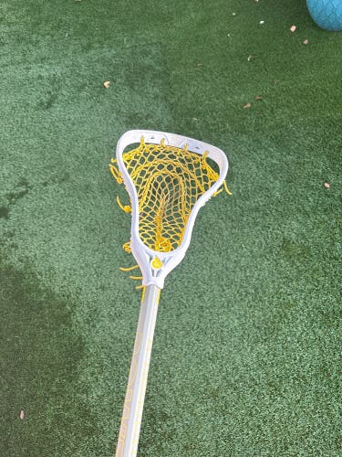 Adult Powell Stick (Used)