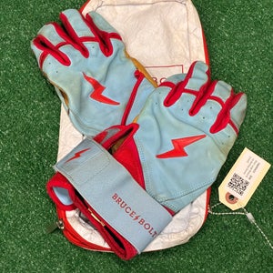 Blue Large Bruce Bolt Batting Gloves (Used)