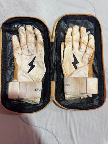 Medium Batting Gloves (Used)
