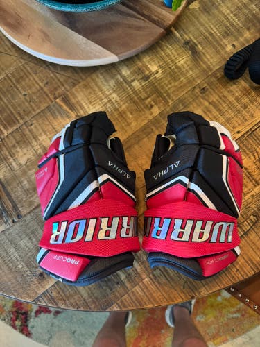 Warrior Alpha LX2 Pro Gloves 14" Pro Stock (New)