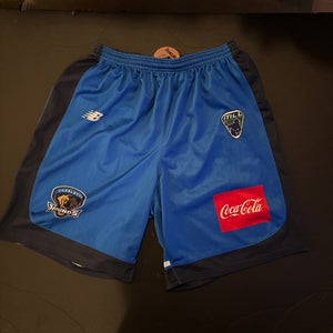 Game Used Charolette Hounds Shorts (large)