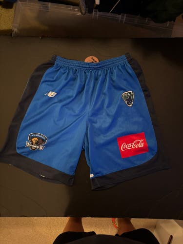 Game Used Charolette Hounds Shorts (large)