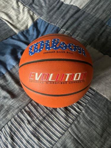Men's Wilson Basketball (New)